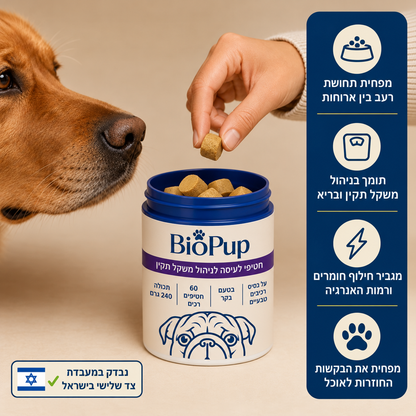 חטיפים לניהול משקל אצל כלבים