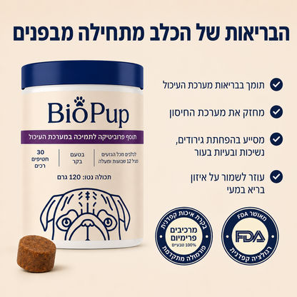 חטיפי פרוביוטיקה לכלבים