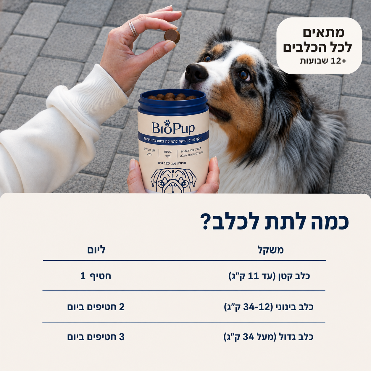 חטיפי פרוביוטיקה לכלבים
