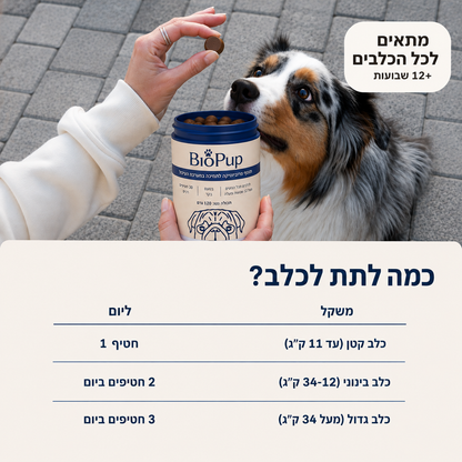 חטיפי פרוביוטיקה לכלבים