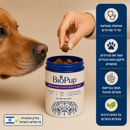 חטיפי פרוביוטיקה לכלבים