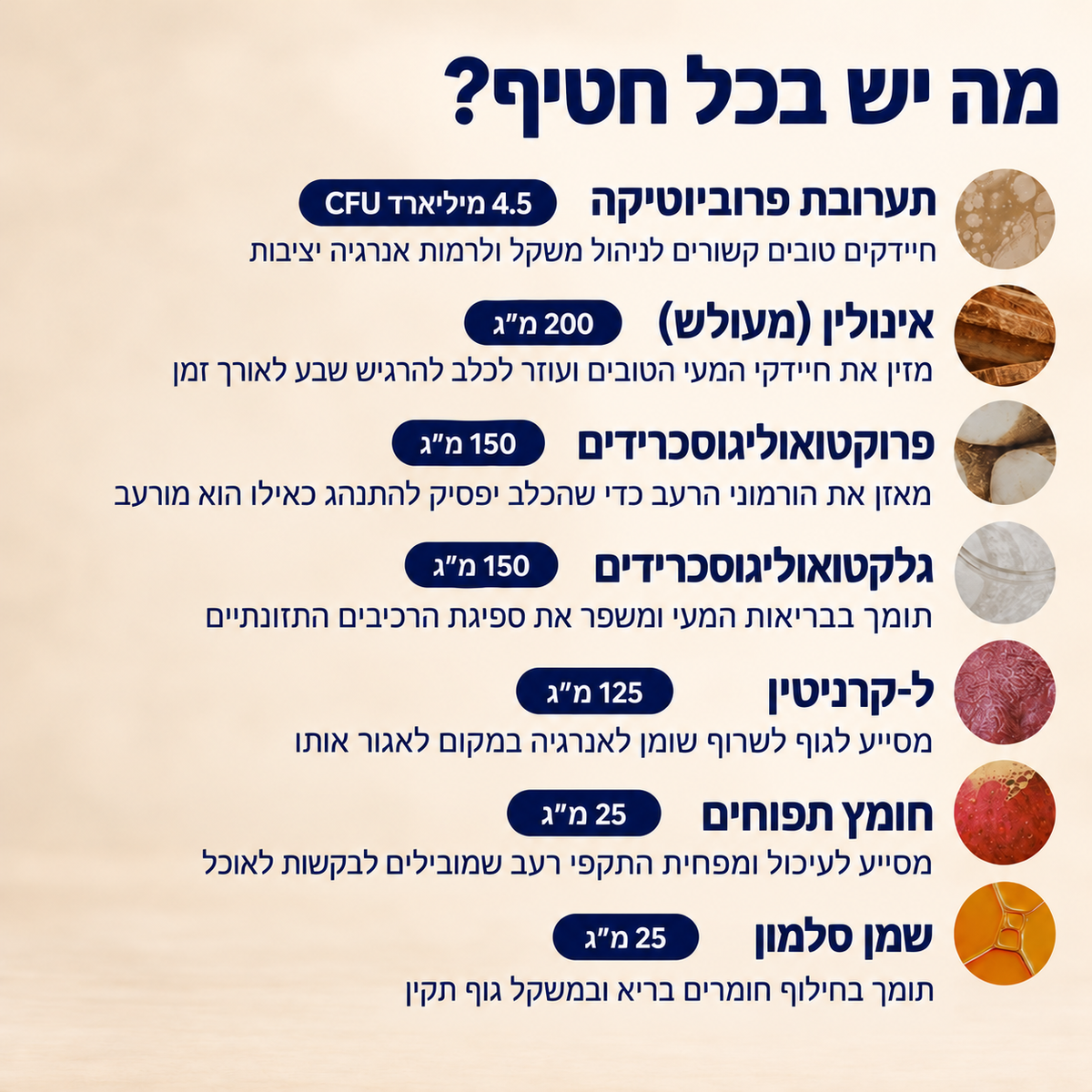 חטיפים לניהול משקל אצל כלבים